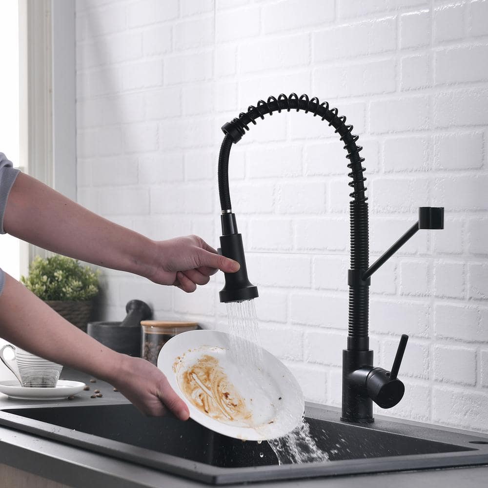 Kitchen Faucet With Pull Out Sprayer Brushed Nickel Stainless Steel Single Handle Kitchen Sink Faucets