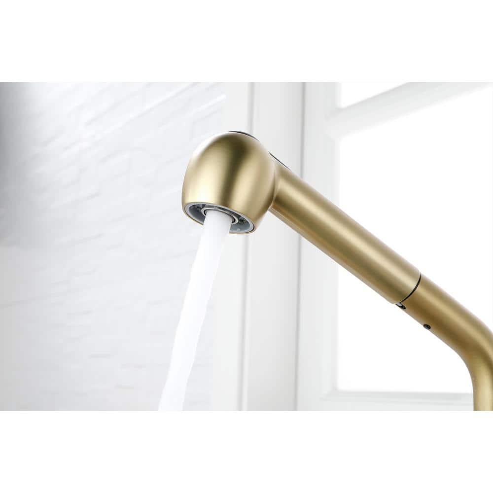 Single Handle Kitchen Sink Faucet With Pull Out Sprayer In Brushed Gold