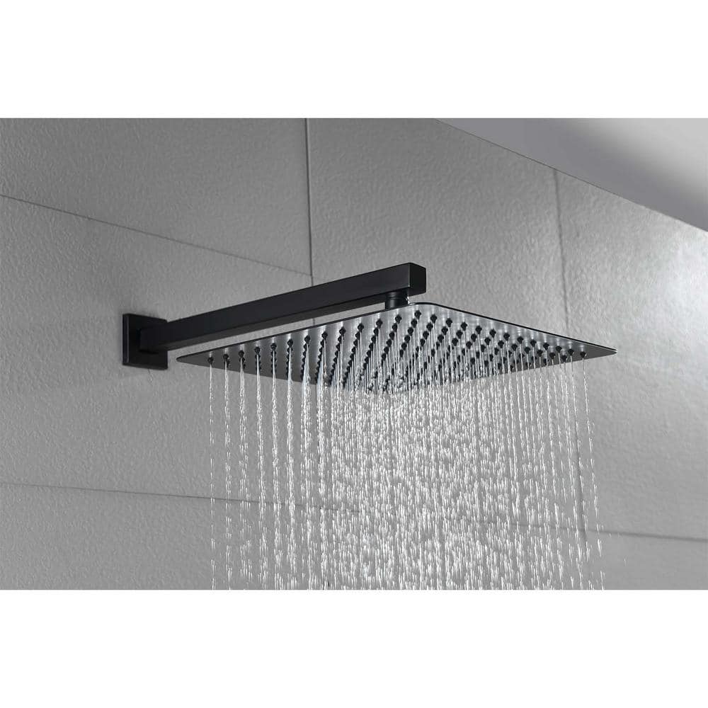 1-Spray 16 In. Dual Rain Shower Head Systems 2.5 GPM Wall Mounted Shower In Matte Black