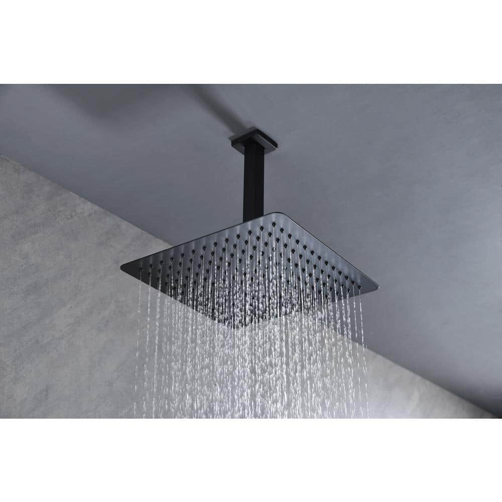 1-Spray Patterns With 2.5 GPM 0 In Ceiling Mount Rain Fixed Shower Head In Matte Black