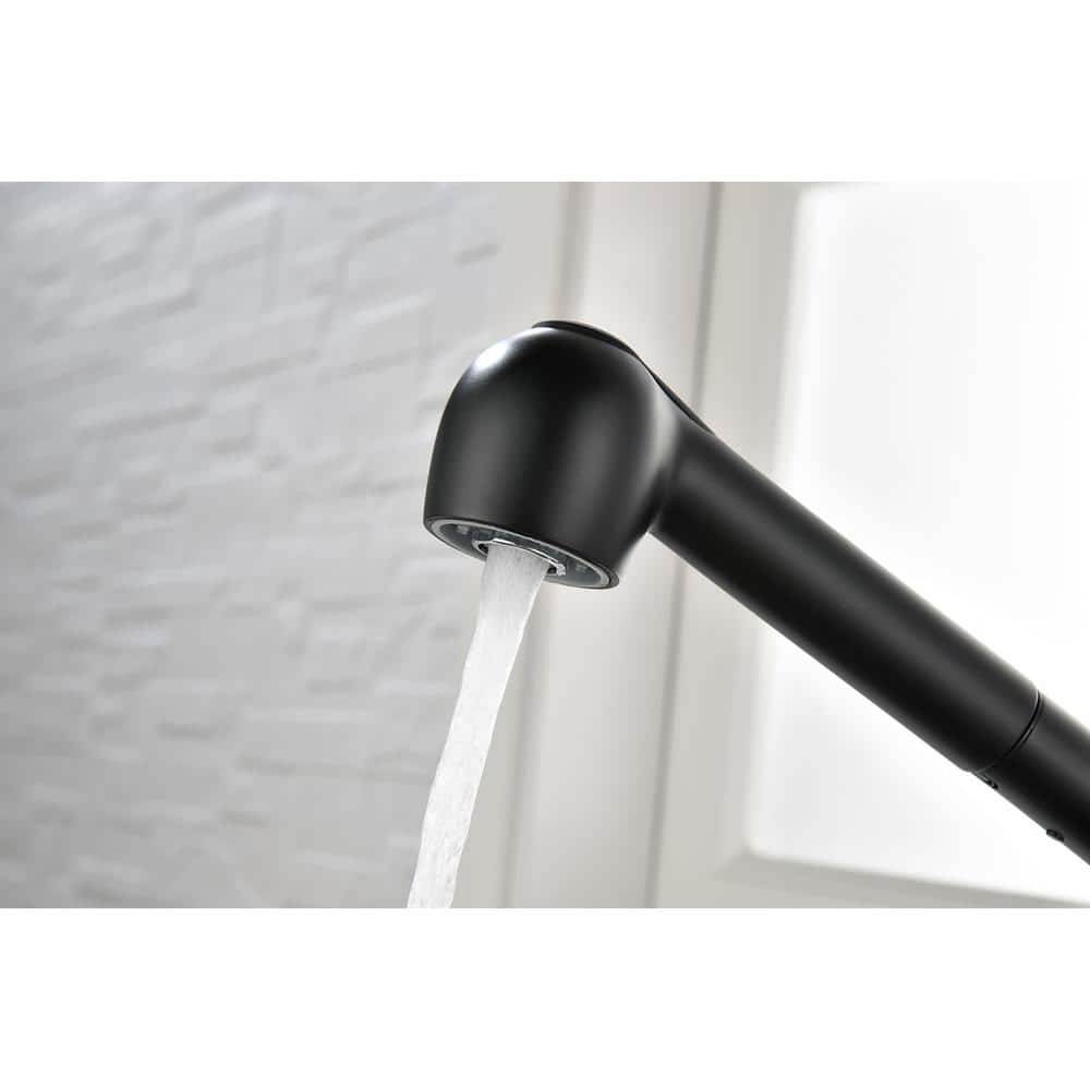 Single Handle Kitchen Sink Faucet With Pull Out Sprayer In Matte Black