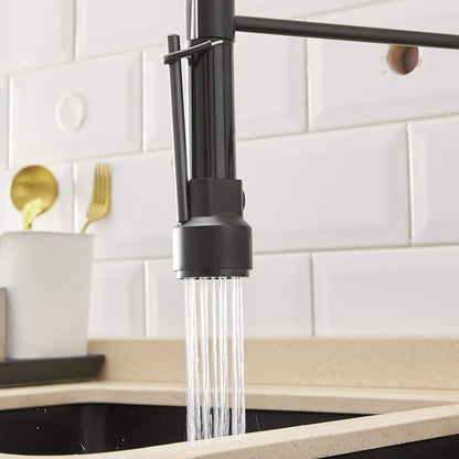  Single Handle Pull Down Sprayer Kitchen Faucet In Black Plus Silver