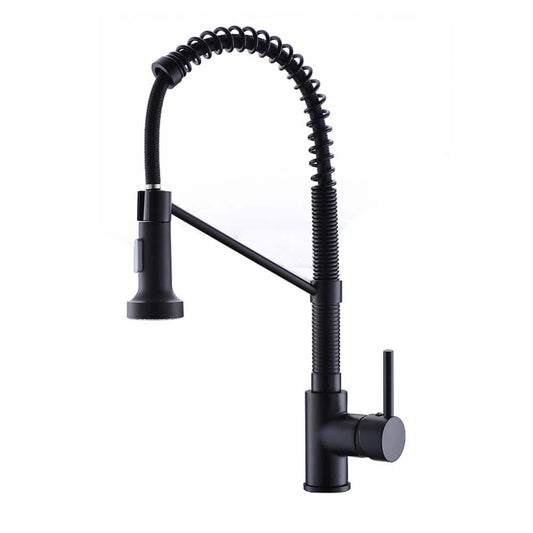  Kitchen Faucet With Pull Out Sprayer Brushed Nickel Stainless Steel Single Handle Kitchen Sink Faucets