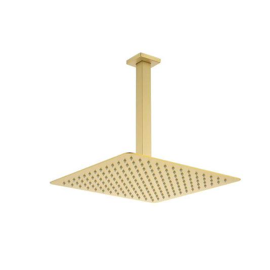  1-Spray Patterns With 2.5 GPM 12 In. Ceiling Mount Rain Fixed Shower Head In Brushed Gold