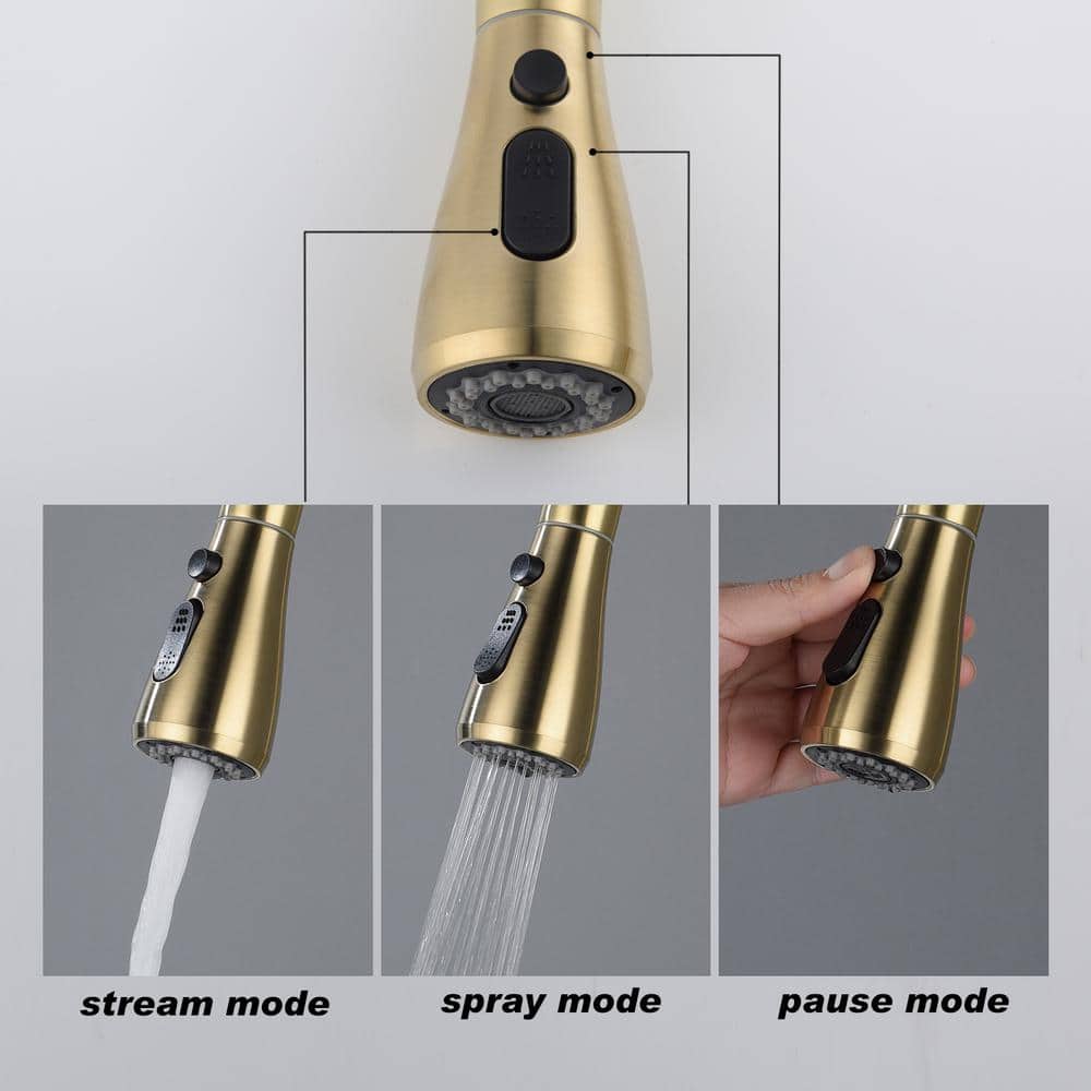  Kitchen Faucet With Pull Out Spraye In Brushed Gold