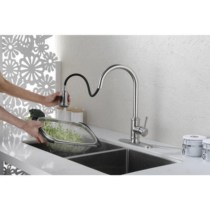  Kitchen Faucet With Pull Out Spraye