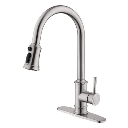  Kitchen Faucet With Pull Out Spraye