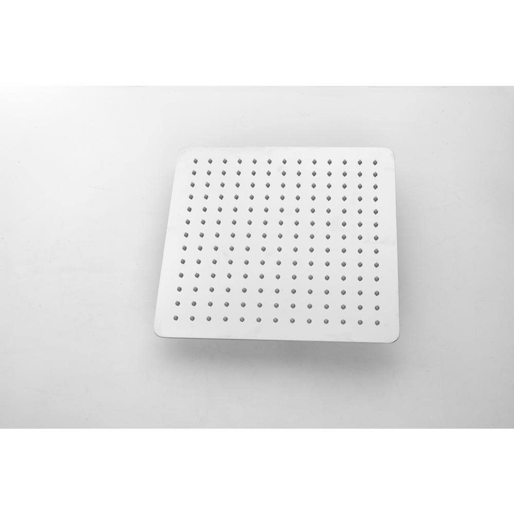  2-Spray Patterns With 0 In. 2.5 GPM In Ceiling Mount Fixed Shower Head In Chrome