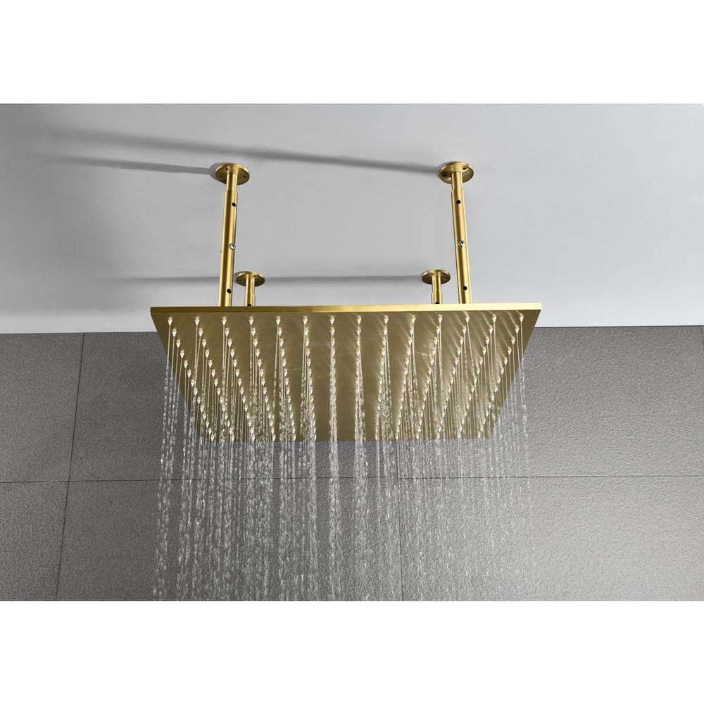  1-Spray Patterns 2.5 GPM 20 In. Ceiling Mount Fixed Shower Head In Gold