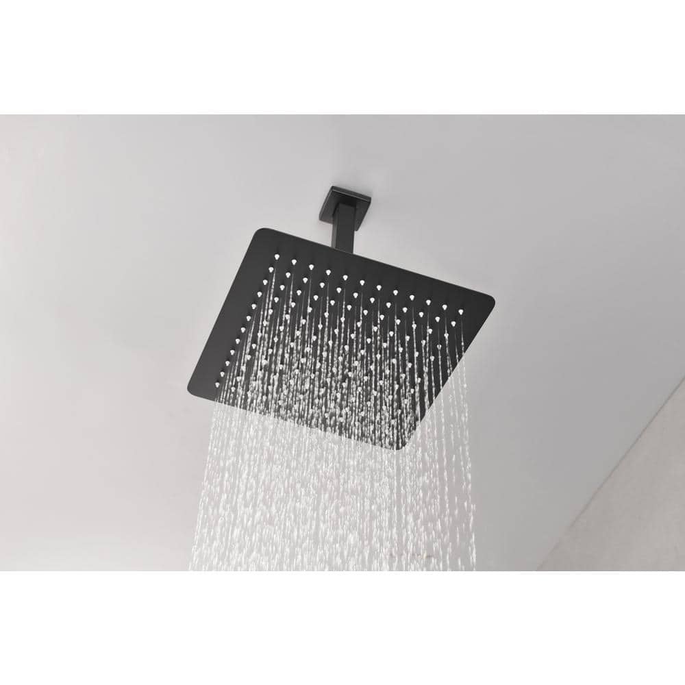  1-Spray Patterns 2.5 GPM Ceiling Mount Fixed Shower Head In Matte Black