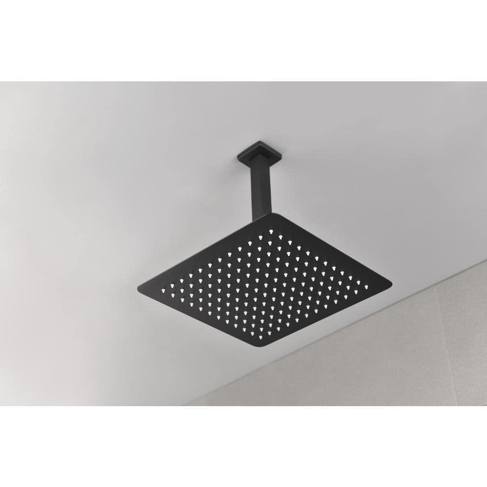  1-Spray Patterns 2.5 GPM Ceiling Mount Fixed Shower Head In Matte Black