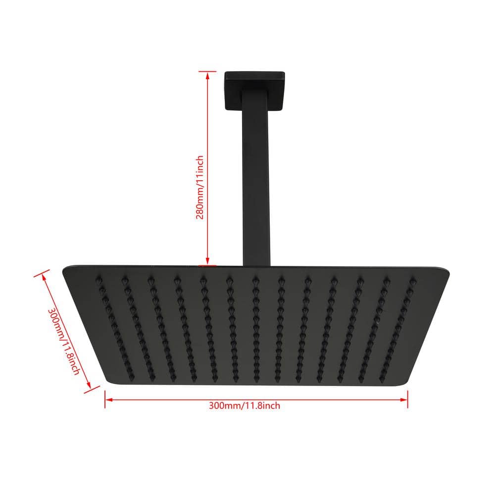  1-Spray Patterns 2.5 GPM Ceiling Mount Fixed Shower Head In Matte Black
