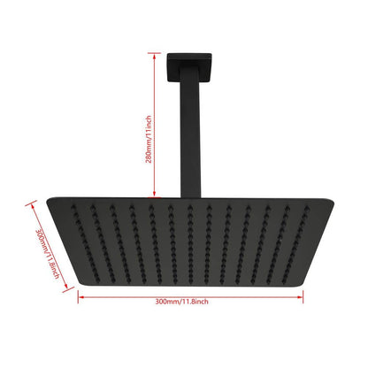  1-Spray Patterns 2.5 GPM Ceiling Mount Fixed Shower Head In Matte Black