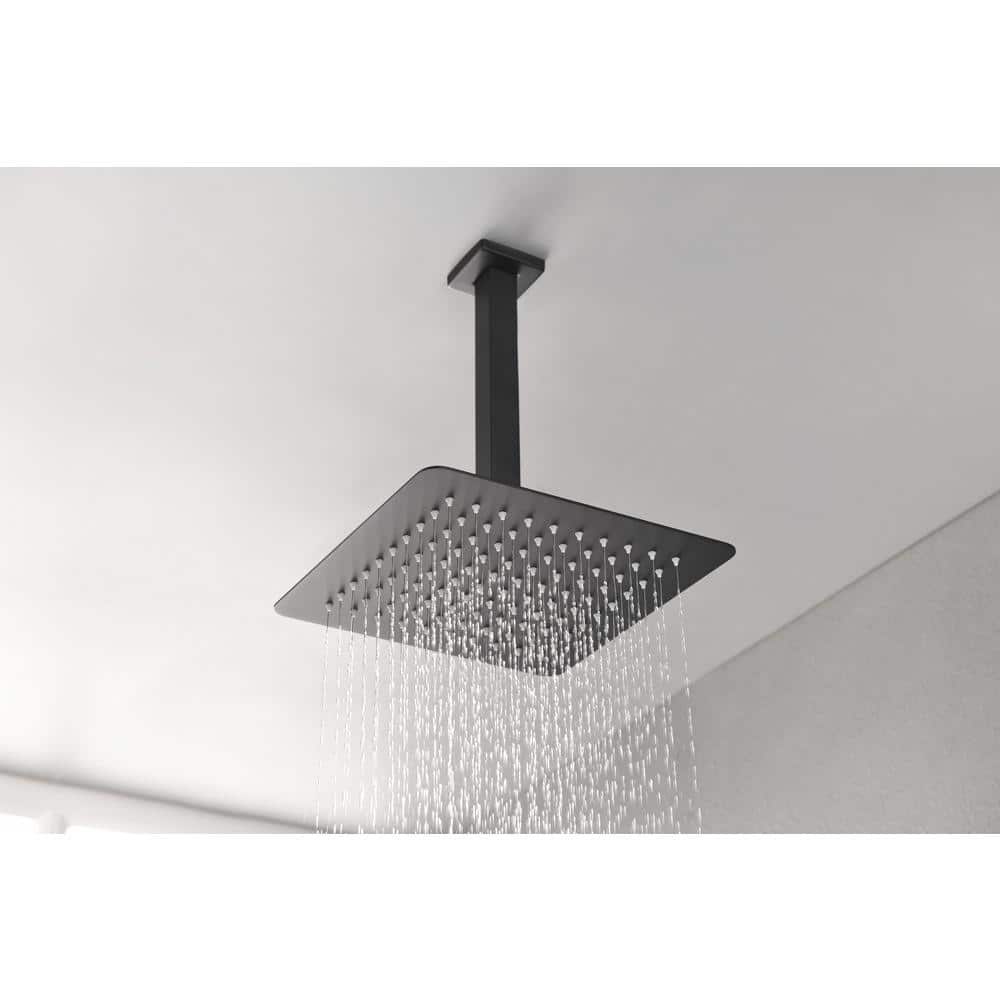  1-Spray Patterns 2.5 GPM 0 In. Ceiling Mount Fixed Shower Head In Matte Black