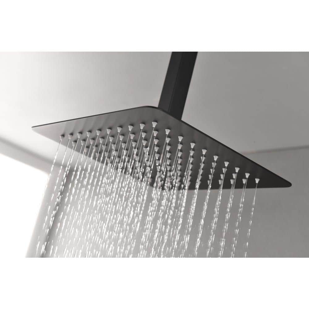  1-Spray Patterns 2.5 GPM 0 In. Ceiling Mount Fixed Shower Head In Matte Black