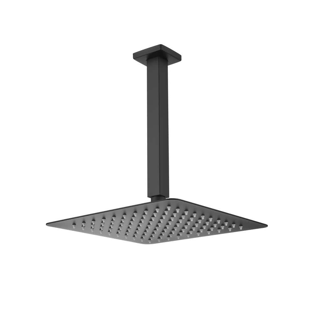  1-Spray Patterns 2.5 GPM 0 In. Ceiling Mount Fixed Shower Head In Matte Black