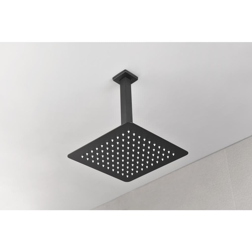  1-Spray Patterns 2.5 GPM 0 In. Ceiling Mount Fixed Shower Head In Matte Black
