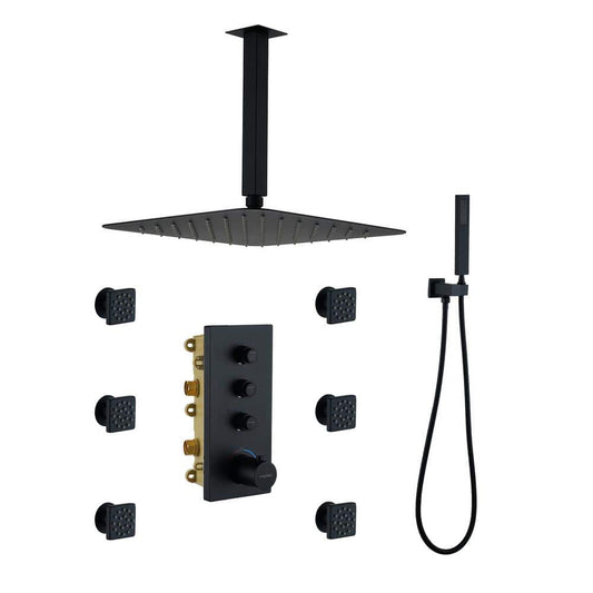  1-Spray Patterns Ceiling Mount Handheld Shower Head Dual 1.8 GPM In Matte Black