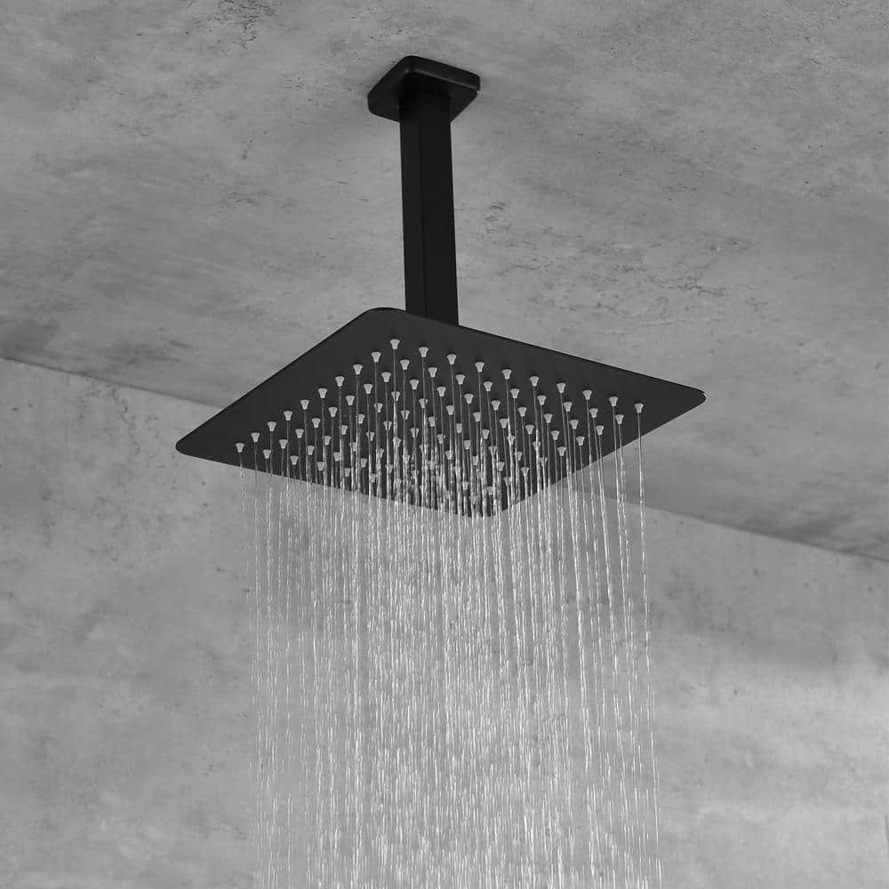  Dual 2-Spray Patterns Ceiling Mount Fixed And Handheld Shower Head 2 GPM In Matte Black