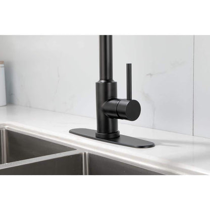  Kitchen Faucet Single Handle Pull Down Sprayer Kitchen Faucet In Matte Black