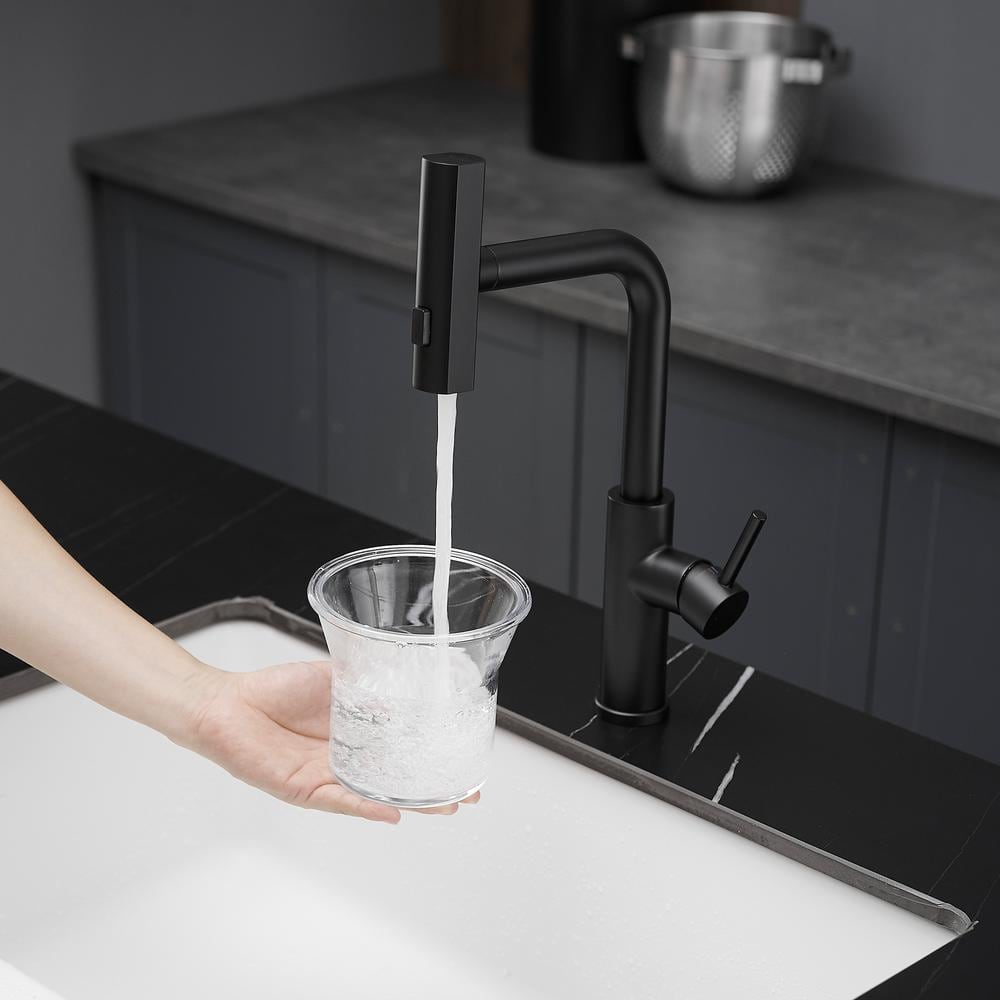  Single Handle Pull Out Kitchen Faucet In Matte Black