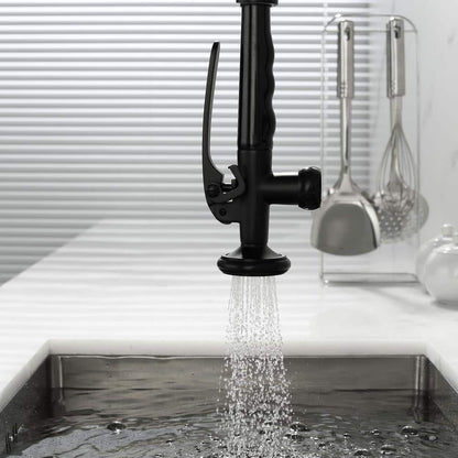  Double Handle Gooseneck Pull Down Sprayer Kitchen Faucet In Matte Black