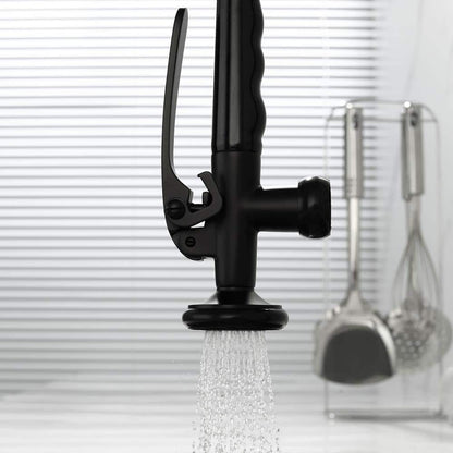  Double Handle Gooseneck Pull Down Sprayer Kitchen Faucet In Matte Black